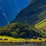 リンドストローム Lærdalsøyri
